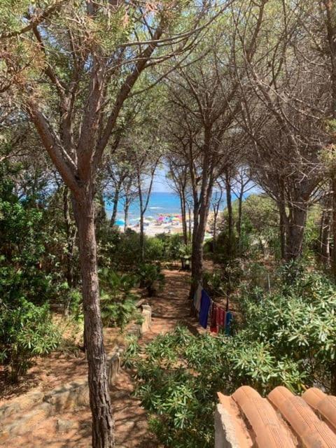Ferienwohnung Jana De Mar Cala Liberotto Exterior foto